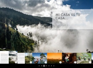 Pagina interna