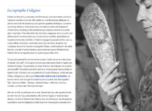Pagina interna