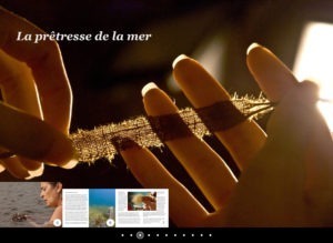 Pagina interna